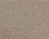 SmartStrand Boheme UYO carpeting.0250