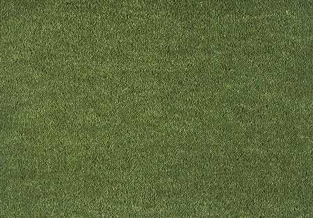 SmartStrand Dream UIO carpet.0591