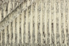 Landscape River Carpet Beige
