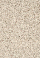 SmartStrand Lounge Carpet ZEO221