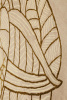 Toulemonde Bochart Eden Naturel carpet