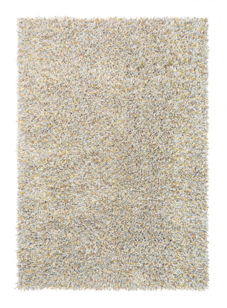 Brink&Campman Young carpet 061806