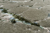 Serge Lesage Kintsugi Putty Grey Carpet