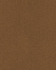 SmartStrand Lior USO carpeting.0391