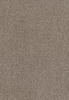 SmartStrand Lounge Carpet ZEO434