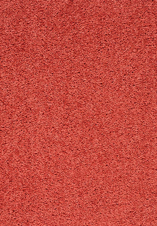 SmartStrand Lounge Carpet ZEO131