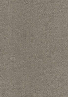 SmartStrand Dream UIO carpet.0263