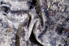 Dywan Samarth Abstract Gaharae 1911