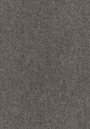 SmartStrand Lounge Carpet ZEO834