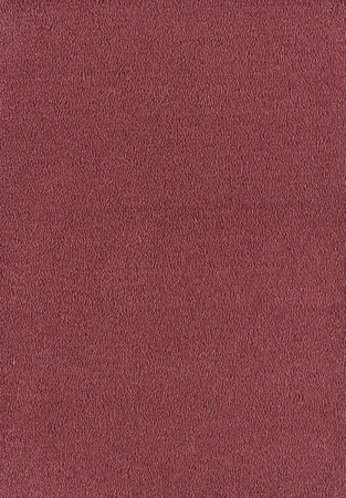 SmartStrand Sofia SOK carpeting.0140