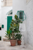 Kabuki Hanging Lamp White