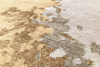 Serge Lesage Granitee Straw carpet