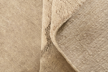 Dywan Reza’s New Age Path Beige