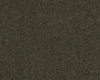 SmartStrand Lounge Carpet ZEO493