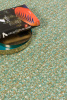 Toulemonde Bochart Erg jardin carpet