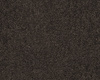 SmartStrand Boheme UYO carpeting.0401