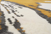Serge Lesage Run Honey rug