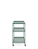 Trays 80 cm x 40 cm Trolley Green
