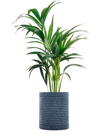 Kleo Cachepot Osłonka Na Donicę Niebieski 40 cm