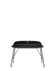 Earl Of Wood 119x65 cm Ash Black Desk