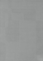 Carpet Decor Evora Gray