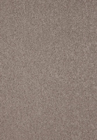 SmartStrand Lounge Carpet ZEO460