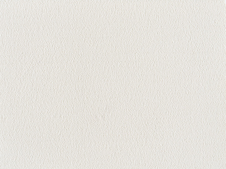 SmartStrand Sofia SOK carpeting.0890