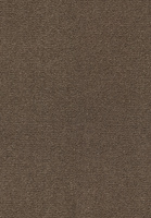 SmartStrand Celeste URO carpeting.0211