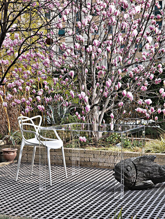 Masters Chair White 4 pieces