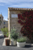 Corteza Donica Fioletowy