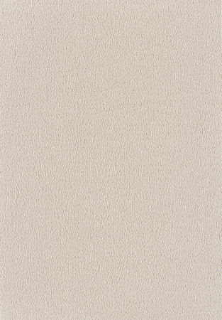 SmartStrand Sofia SOK carpeting.0440