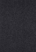 SmartStrand Lounge Carpet ZEO820