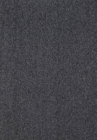 SmartStrand Lounge Carpet ZEO830