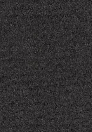 SmartStrand Celeste URO carpeting.0811
