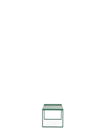 Trays 80 cm x 40 cm Table Green