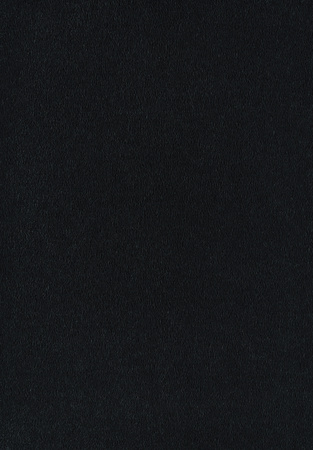 SmartStrand Sofia SOK carpeting.0800
