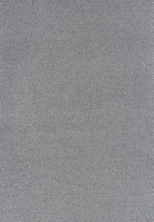 SmartStrand Sofia SOK carpeting.0860