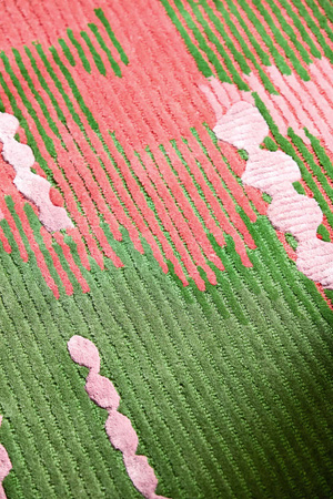 Harlequin Wilderness Peridot/Emerald rug 144507