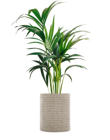 Kleo Cachepot Pot Cover Beige 40 cm