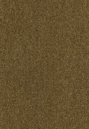 SmartStrand Lounge Carpet ZEO384
