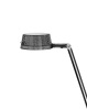 Aledin Dec Desk Lamp Tinted