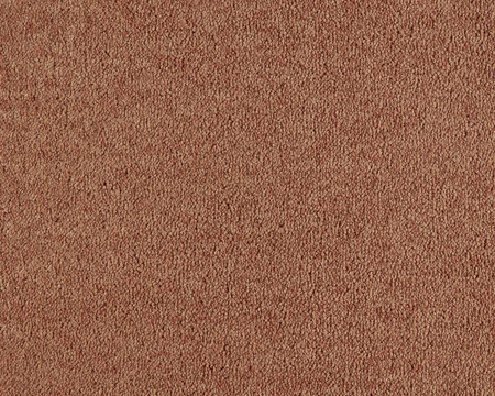 SmartStrand Lounge Carpet ZEO332