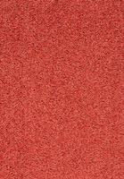 SmartStrand Lounge Carpet ZEO131