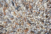 Brink&Campman Young carpet 061801