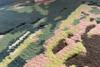Serge Lesage Crust carpet