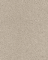 SmartStrand Lior USO carpeting.0241