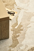 Toulemonde Bochart Paper Beige Carpet