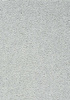 SmartStrand Lounge Carpet ZEO871
