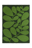 Dywan Orla Kiely Sycamore Dill 464207