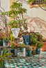 Shanghai Vase Transparent